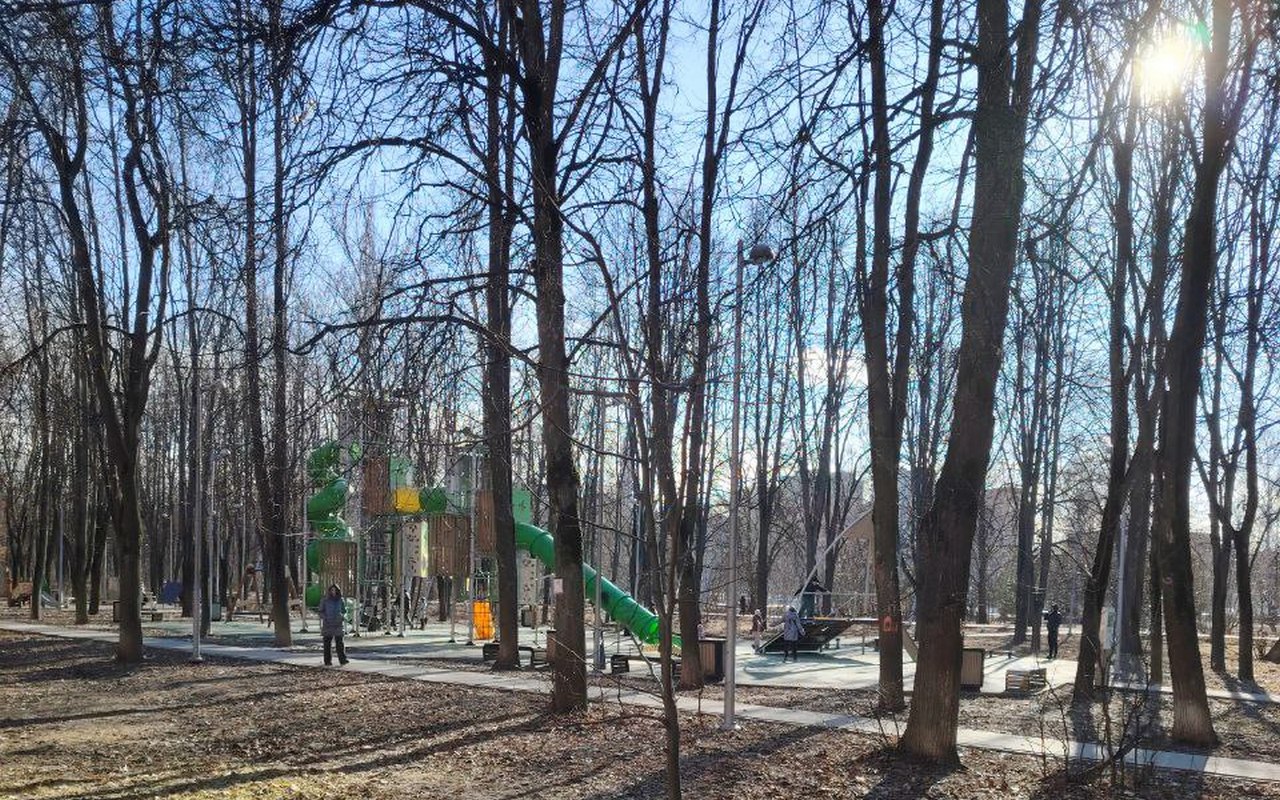 Волонтеры убирают мусор в парке